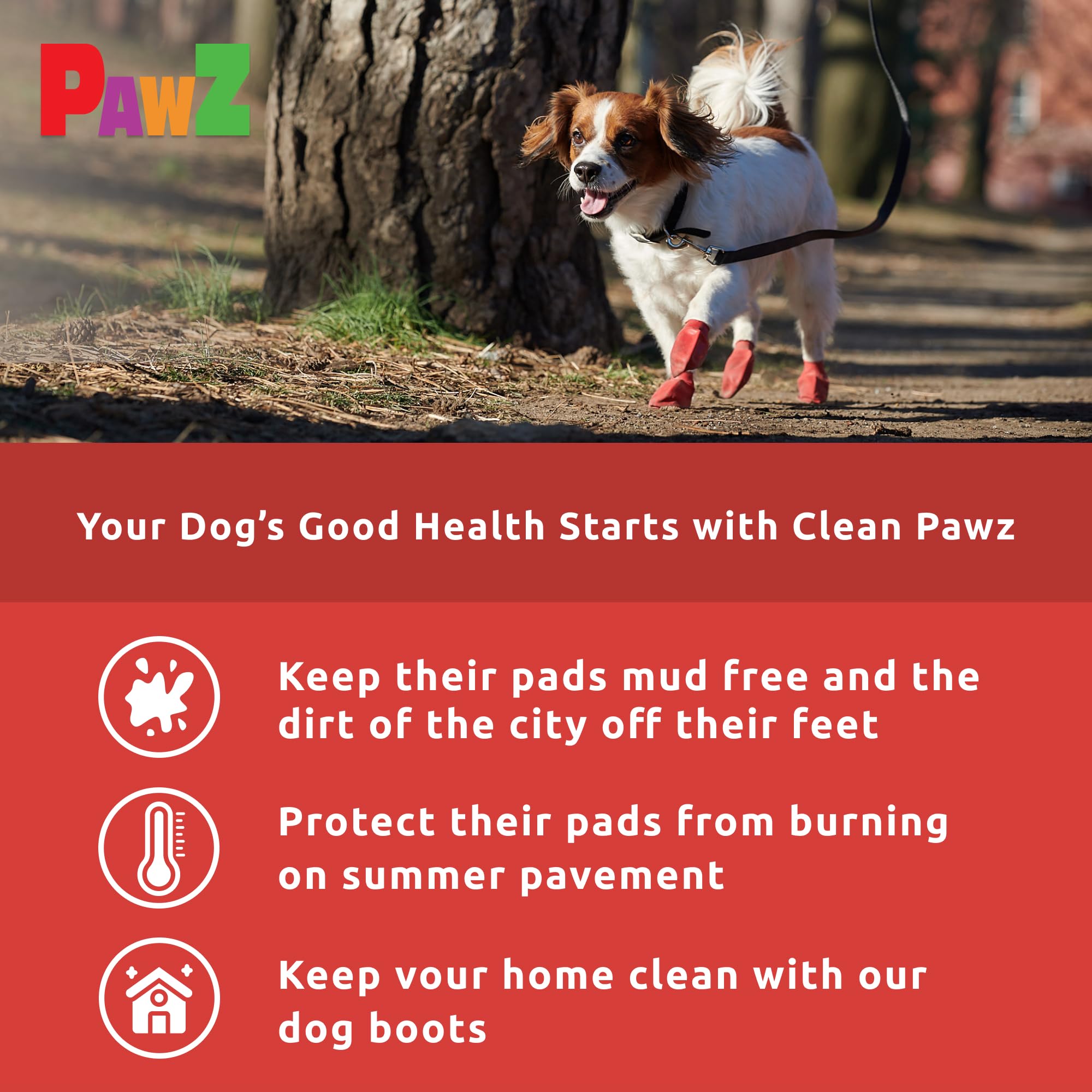 Protex PawZ small dog paw shoes keep paws dry in rain and mud.