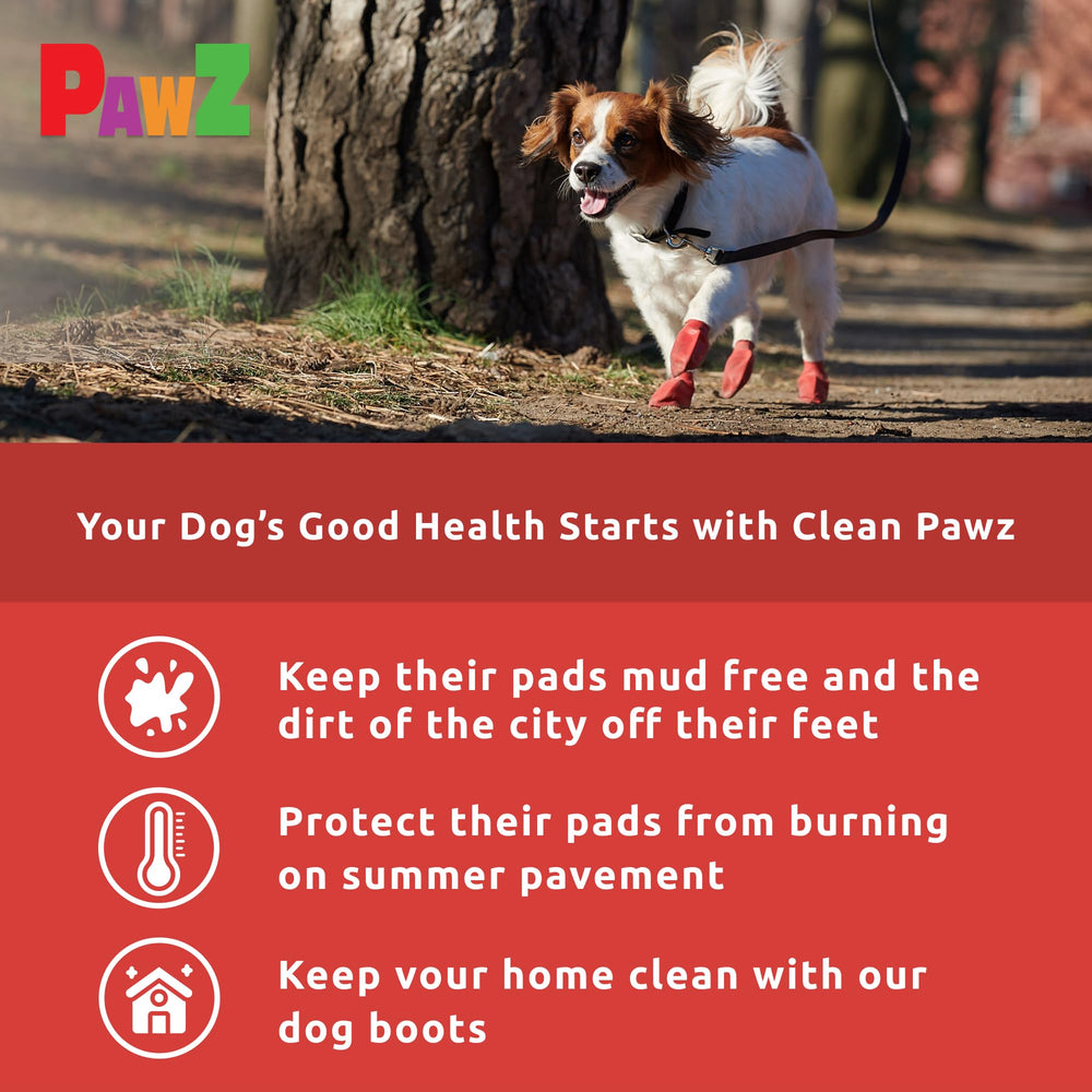 Protex PawZ small dog paw shoes keep paws dry in rain and mud.