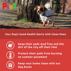 Protex PawZ small dog paw shoes keep paws dry in rain and mud.