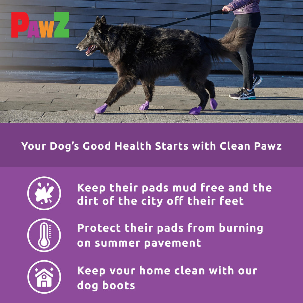 Protex PawZ waterproof dog boots keep paws dry during muddy hikes.