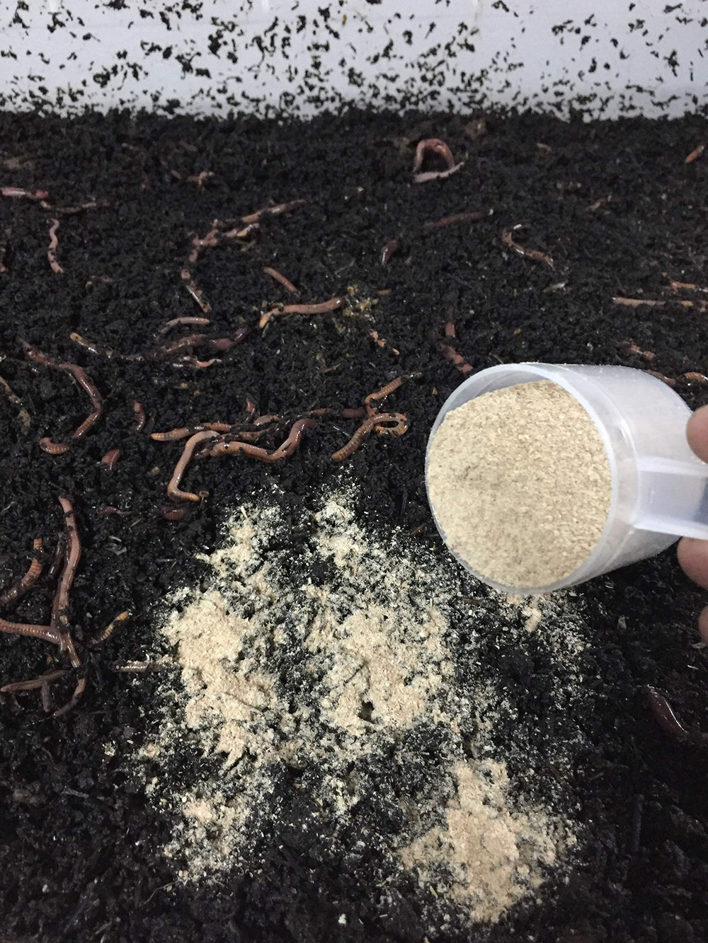 Protogro Compost worm food powder a fresh earth aroma in bins.