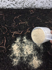 Protogro Compost worm food powder a fresh earth aroma in bins.