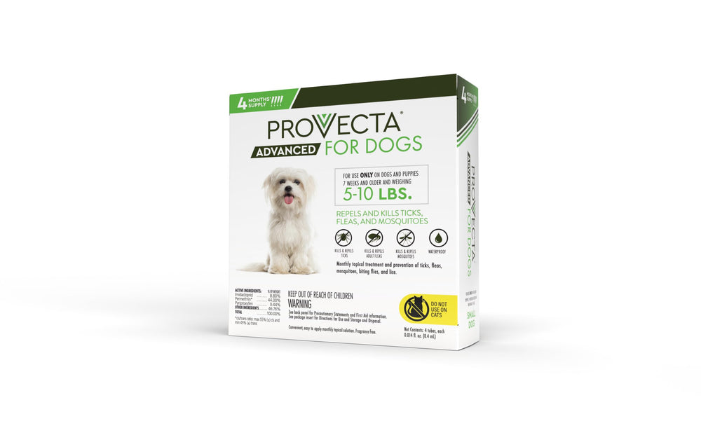 Application area on dog shows precise dose delivery with Provecta Advanced