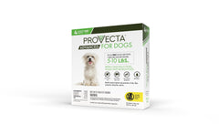 Application area on dog shows precise dose delivery with Provecta Advanced