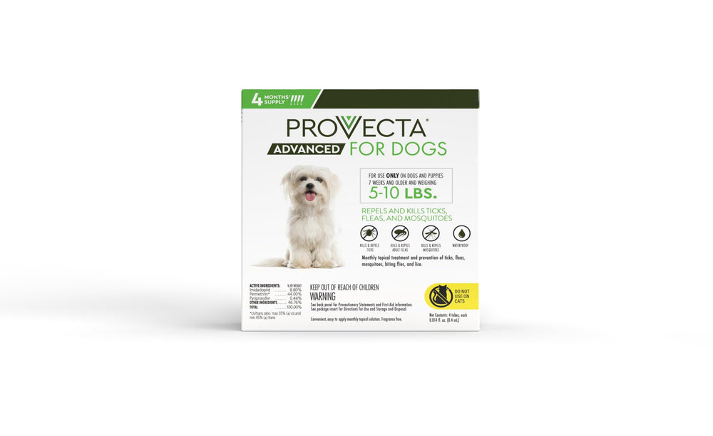 Dog ready for application with Provecta Advanced, a simple monthly protection