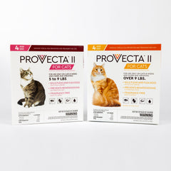 Provecta II being applied to a cat for simple, fragrance-free flea protection.