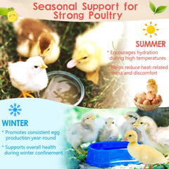 Provspro electrolyte solution served in water supports flock vitality.