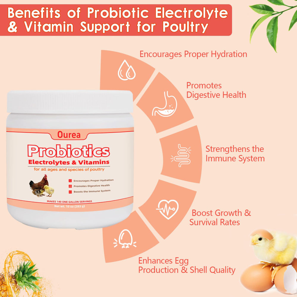 Provspro measuring scoop with electrolyte powder for precise dosing in water.