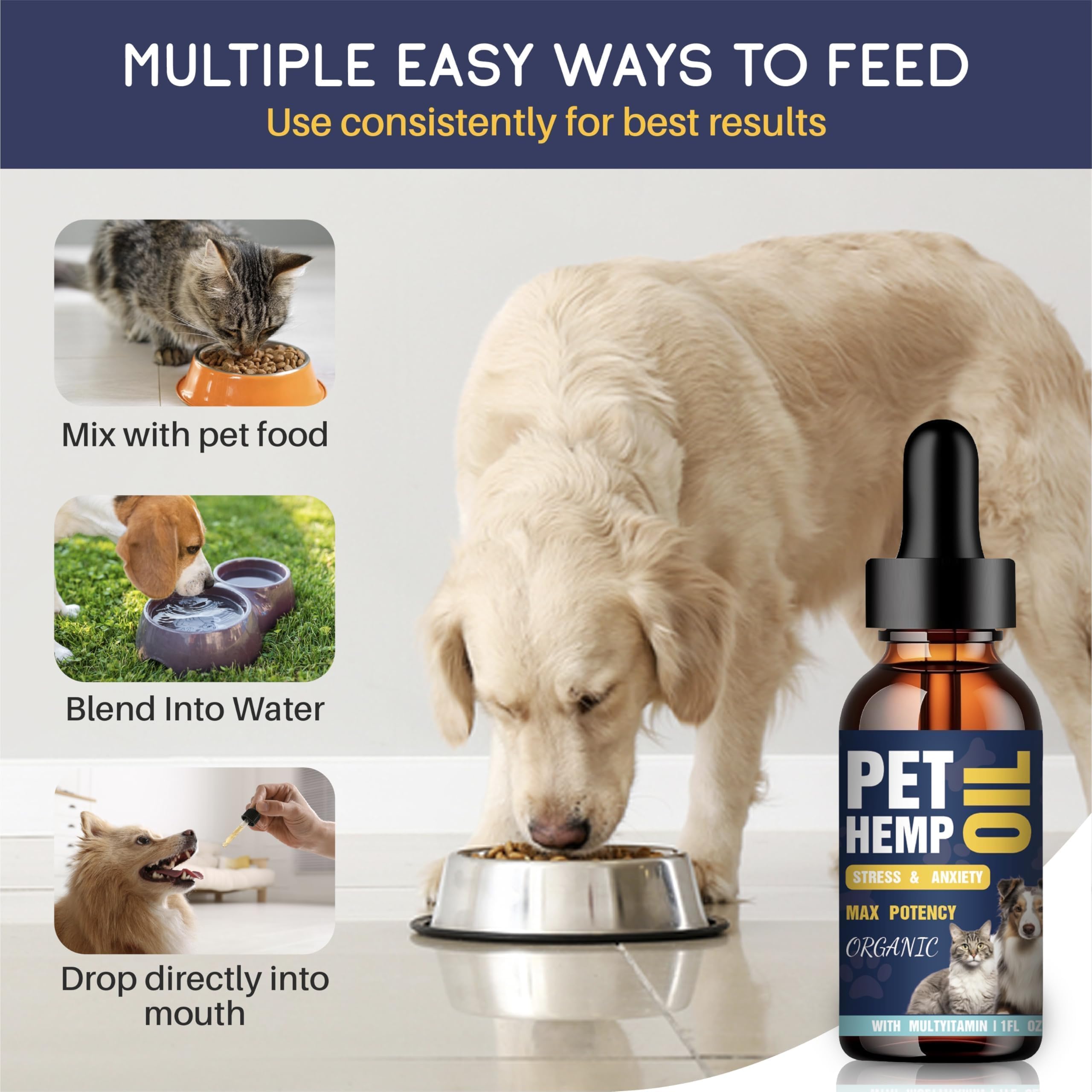 PROZIMA Hemp Oil for Dogs and Cats 3-Pack supports coat shine and joint mobility.