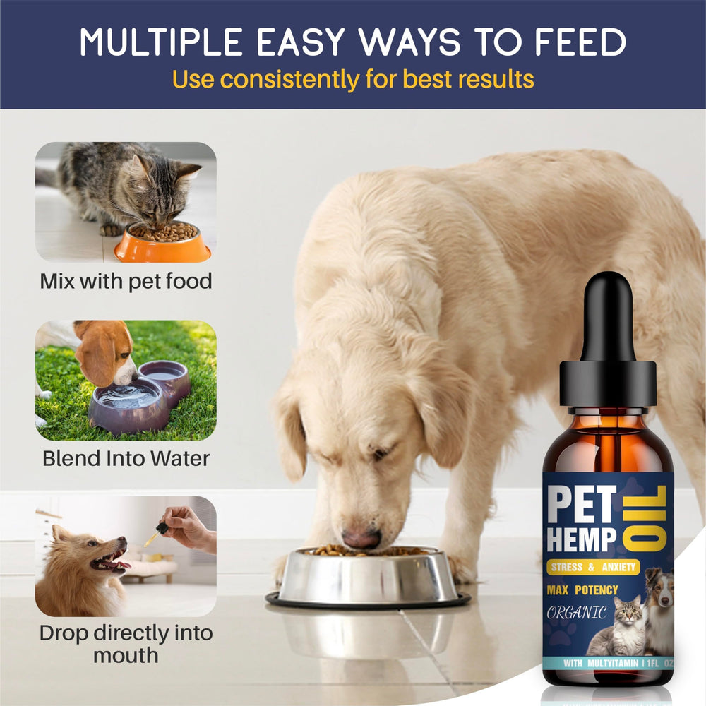 PROZIMA Hemp Oil for Dogs and Cats 3-Pack supports coat shine and joint mobility.