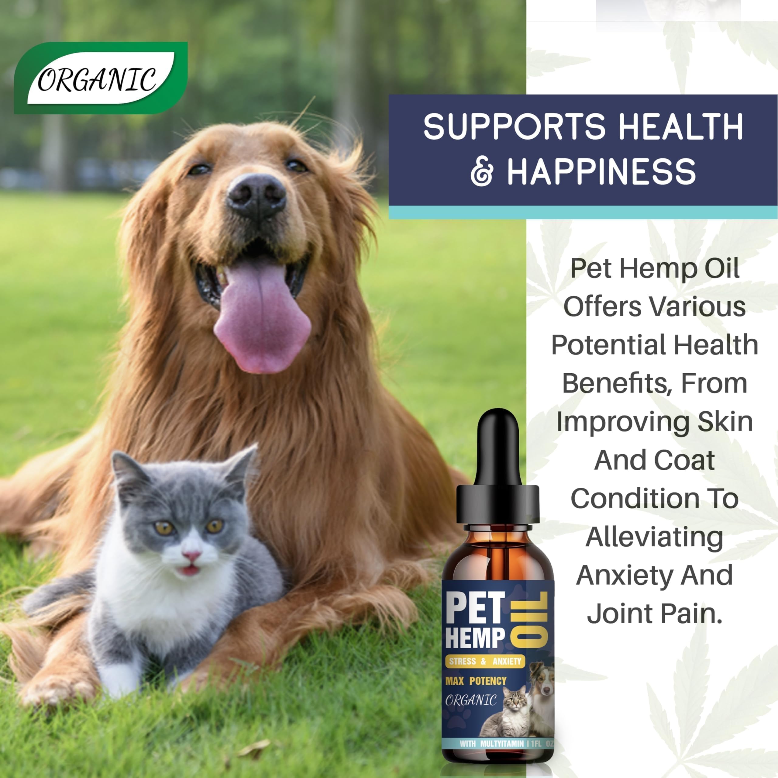 PROZIMA Hemp Oil for Dogs and Cats 3-Pack resting pet shows calm mood.