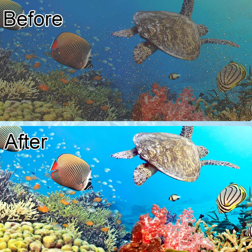 Pryitier replacement cycle reminder helps maintain water quality with 2–4 week changes.