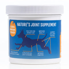 Prymal Pets collagen powder promotes a healthy coat and shine.