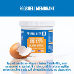 Prymal Pets joint-supporting collagen for aging dogs to help mobility.