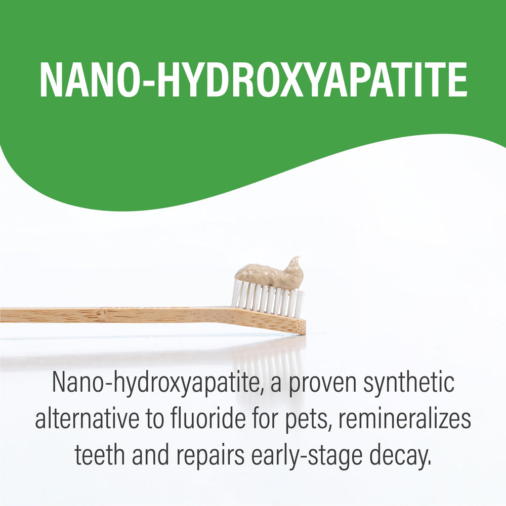 Prymal Pets nano-hydroxyapatite close-up highlights enamel-friendly remineralization potential.