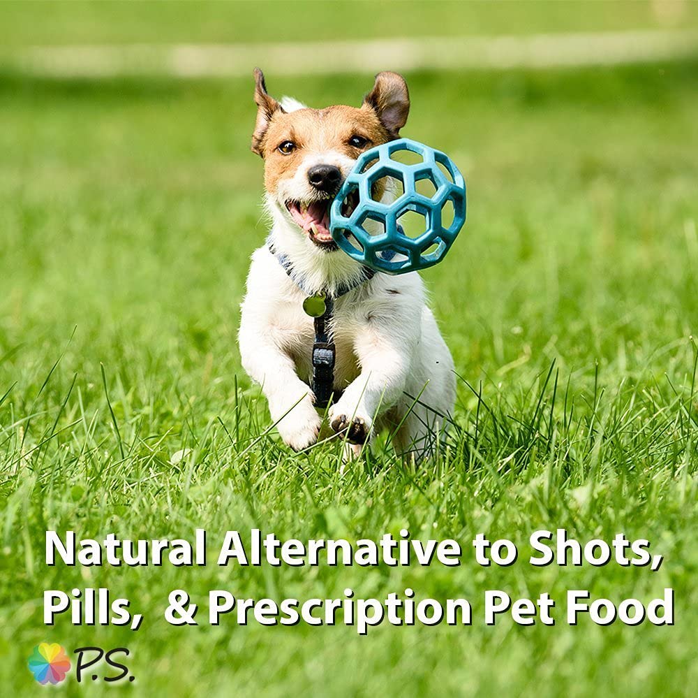 P.S. for Dogs with Love small-batch production in New Zealand ensures freshness