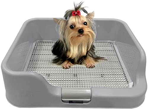PS KOREA DogCharge indoor potty tray with all-side wall keeps floors clean and paws dry