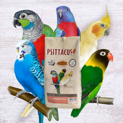  hydrated Psittacus microspheres 20/10 blend quickly for a soft mix.