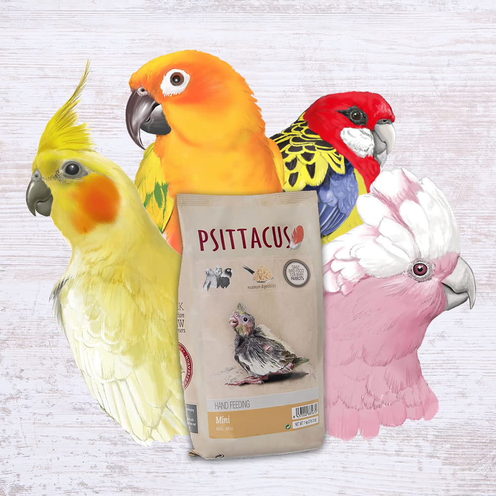 Psittacus Mini Hand-Feeding Formula baby parrot feeding scene supports early growth