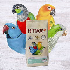 Psittacus parrot hand-feeding baby chick receiving care during feeding.