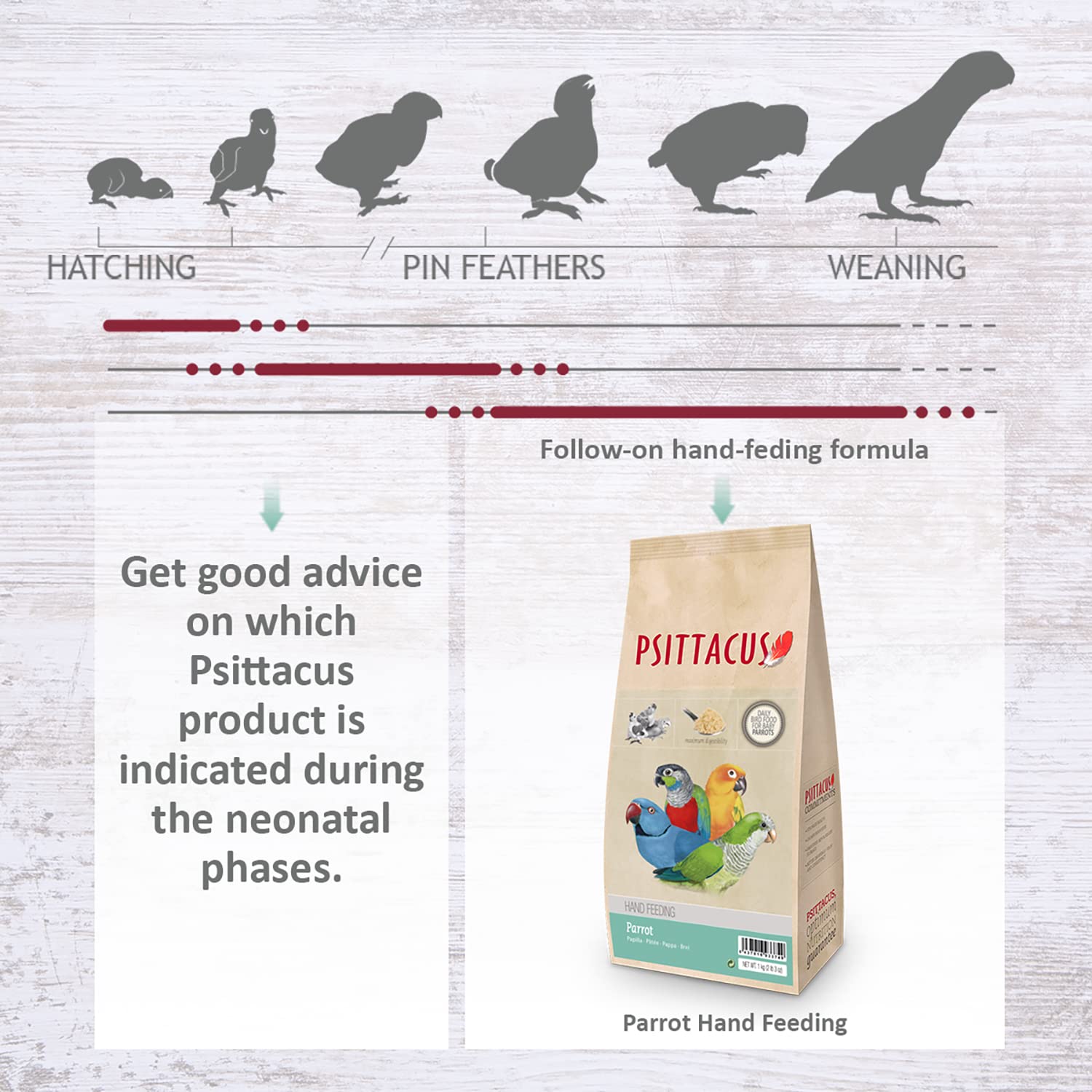 Psittacus European-manufactured parrot formula designed for high nutritional standards.