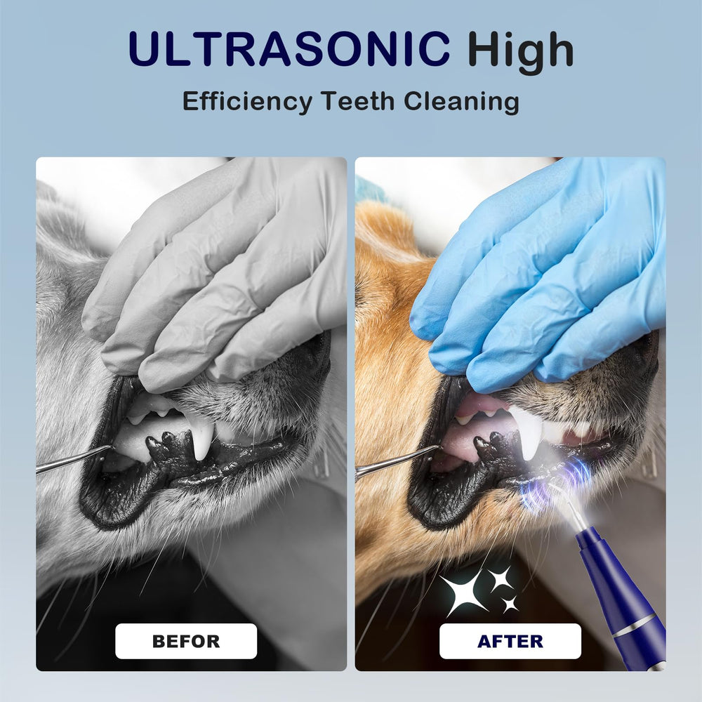 Psytpusa blue pet oral care kit offers convenient home dental care.