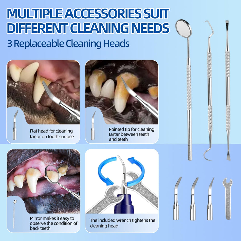 Psytpusa dental probe and mirror set aids precise tartar targeting.