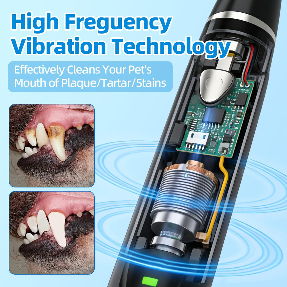 Psytpusa dental probe and mirror for inspection and prep.