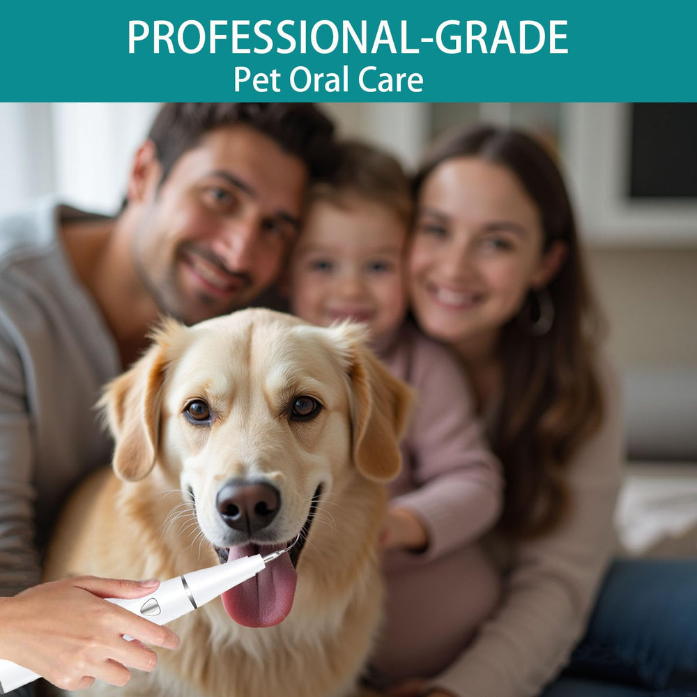 Psytpusa dental probe and stain eliminator for precise checks