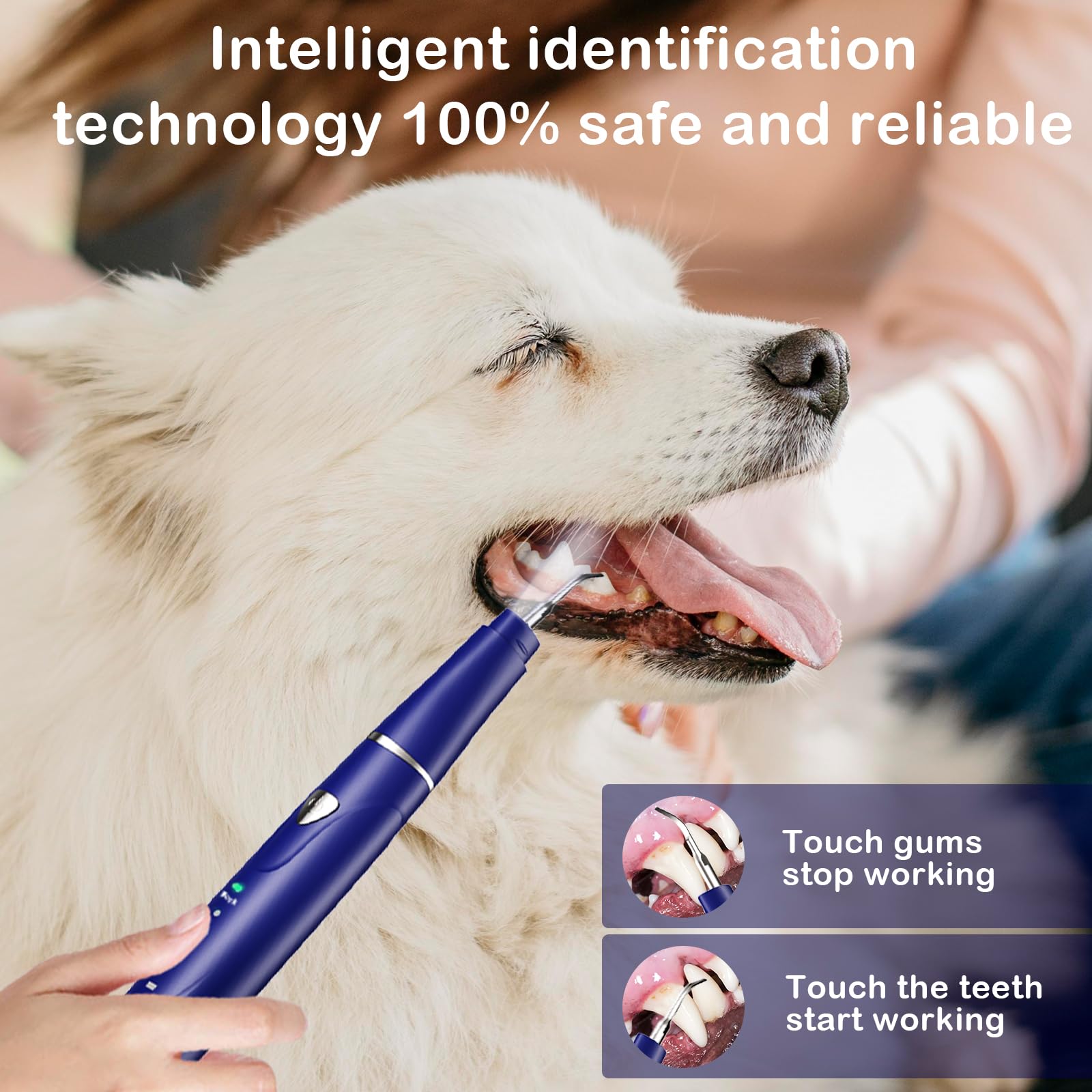 Psytpusa dog plaque remover tool helps remove tartar safely during at-home cleaning.