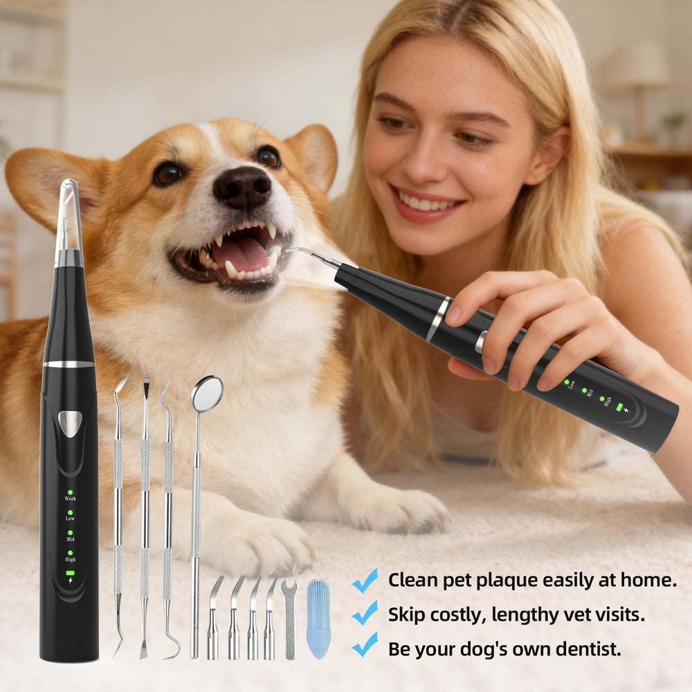 Psytpusa dogs in use with ultrasonic cleaner for pet dental care.