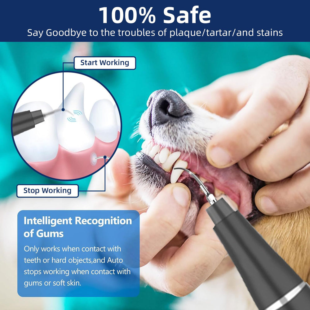 Psytpusa LED light feature for clear visibility during pet dental cleaning