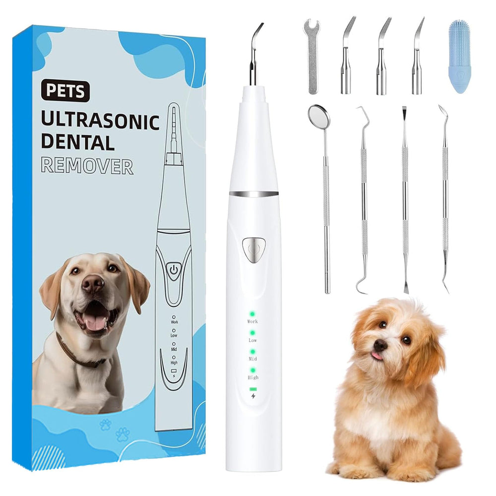 Psytpusa plaque remover targets teeth for at-home pet dental care