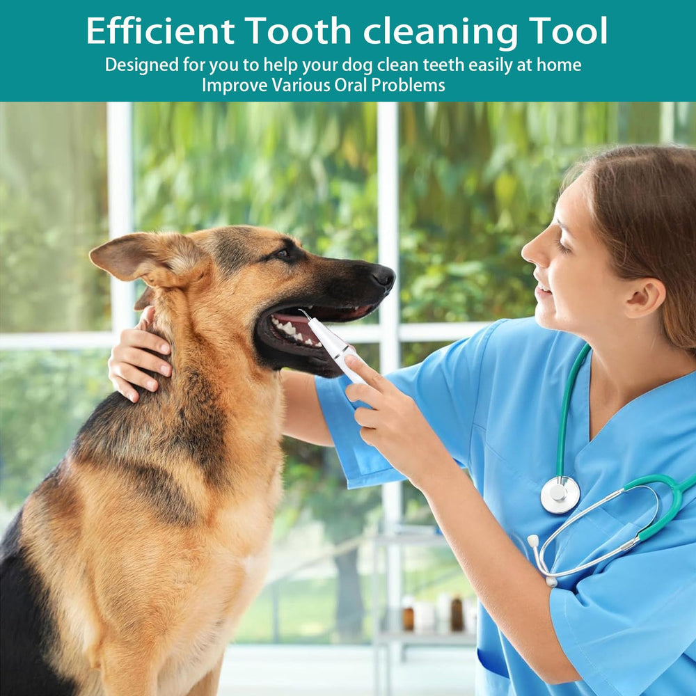 Psytpusa ultrasonic cleaner with LED light improves visibility for cleaning