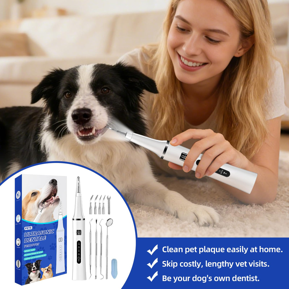 Psytpusa Ultrasonic Pet Plaque Remover designed for cats use.