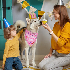 PTDECOR birthday girl bandana adds cute flair for photos and celebrations.