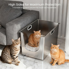 PTFFF curved low-entry enables easy access for kittens and seniors.