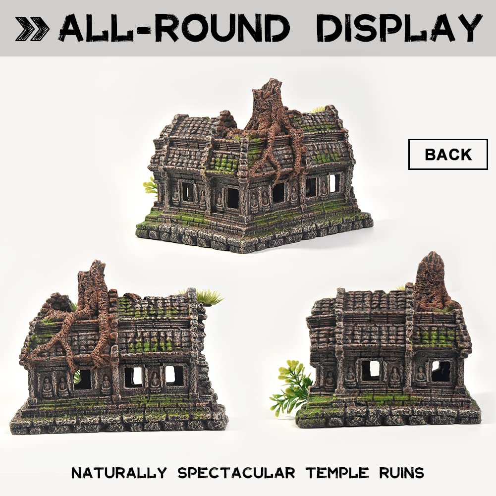 PTFJZ reptile house shelter provides secure hiding spots for small crawling pets.