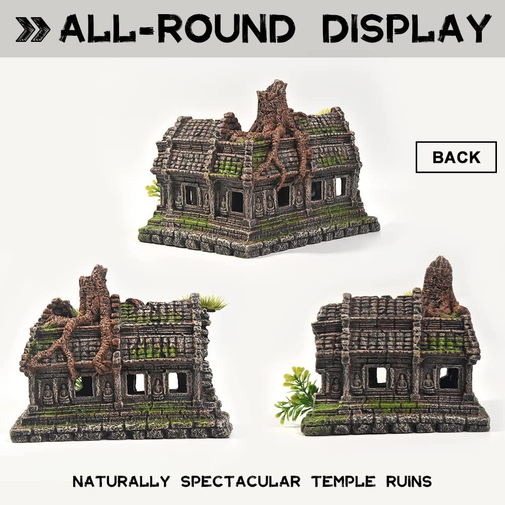 PTFJZ reptile house shelter provides secure hiding spots for small crawling pets.