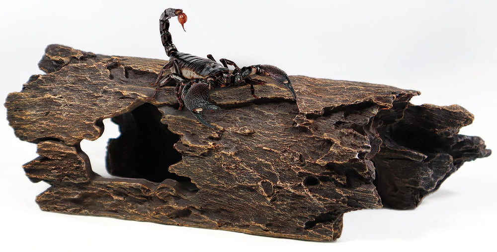 PTFJZ fish tank tree bubbler provides a natural hideout for small fish and bettas.