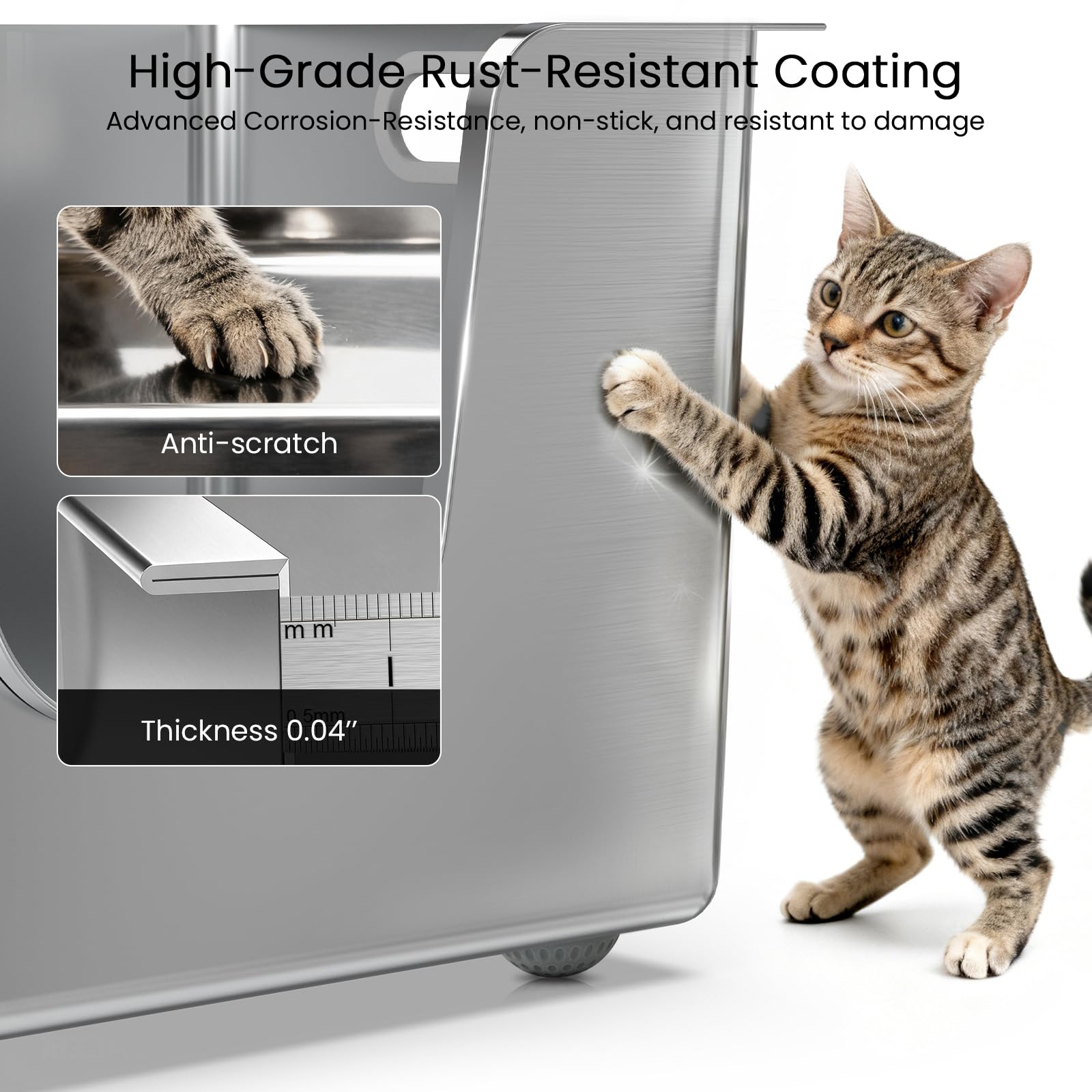 Ptlom low-entry design supports senior cats and kittens.