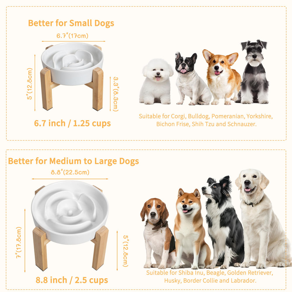 PTOBER anti-slip legs keep the bowl in place while dogs eat confidently