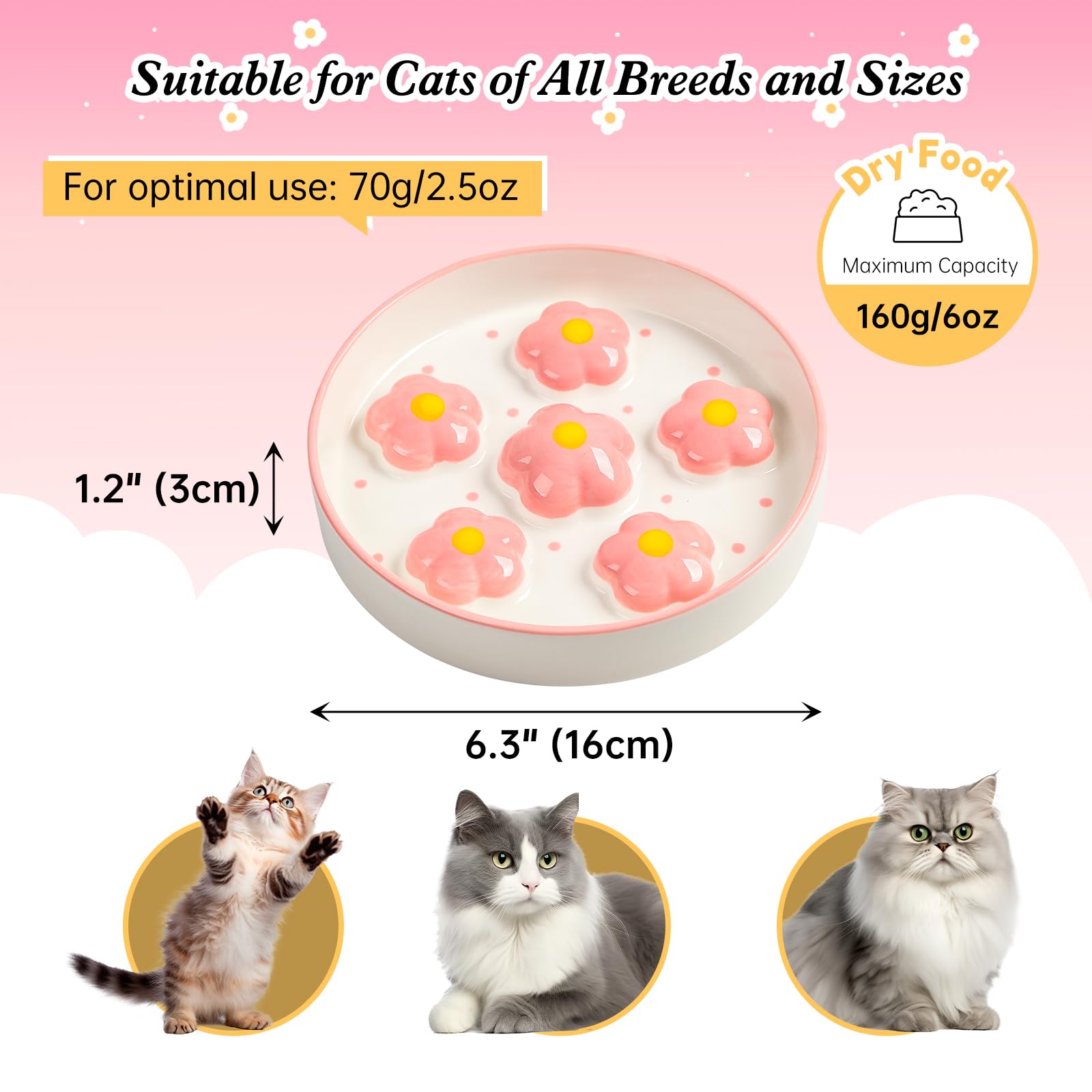PTOBER cat food bowl wide 6.3 inch diameter supports whisker-friendly eating.