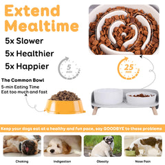 PTOBER ceramic bowls provide safe, easy-to-clean dining.