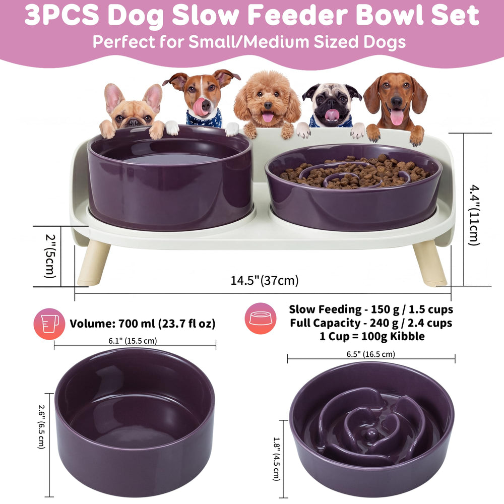 PTOBER ceramic slow-feeder bowl promotes paced eating and digestion.