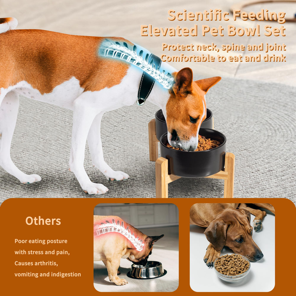 PTOBER two-size set fits small cats and dogs for versatile use.