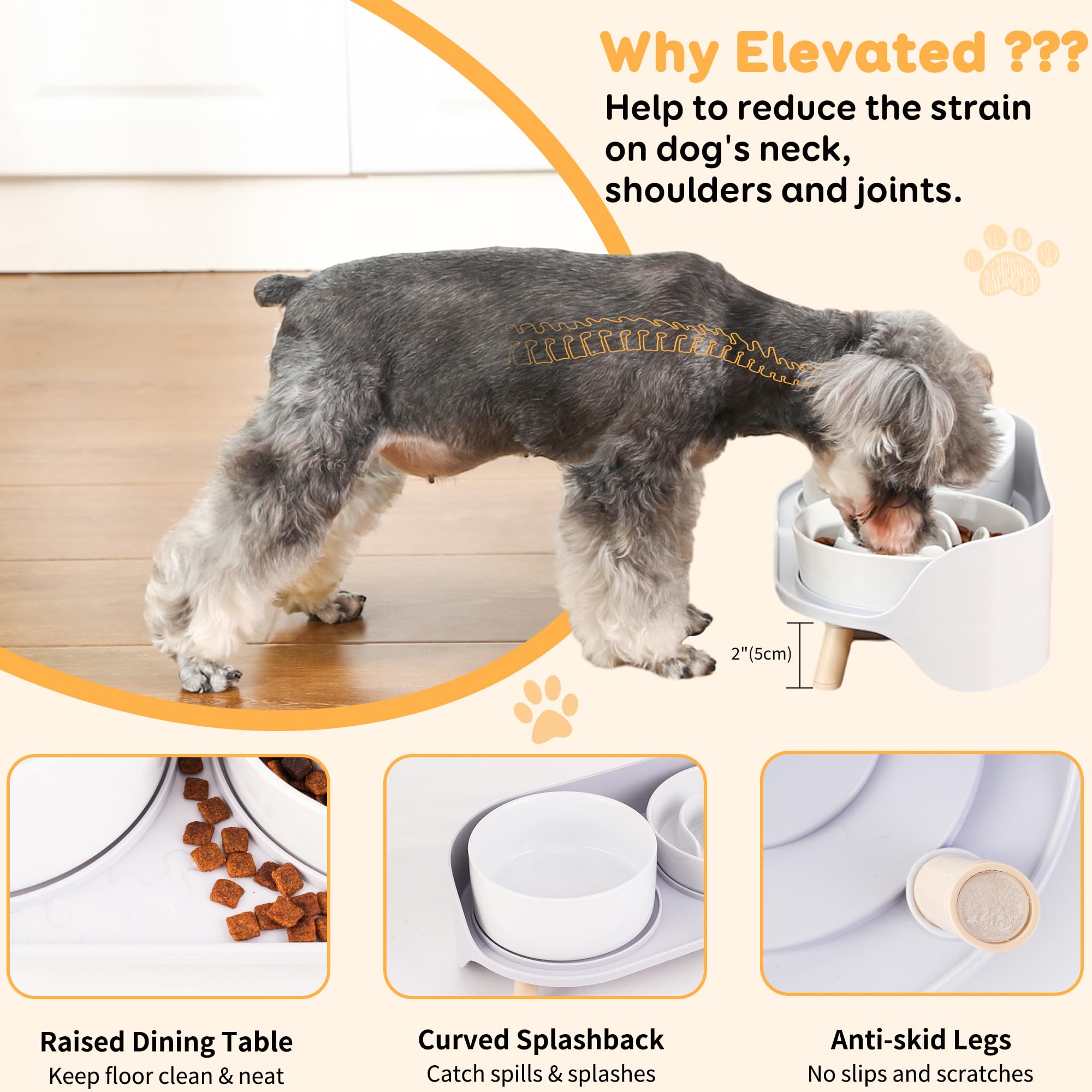 PTOBER two bowls on stand create a balanced feeding setup.