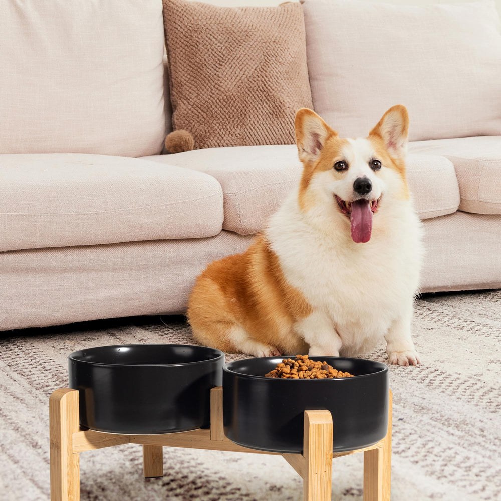 PTOBER eco-friendly bamboo stand complements modern homes while supporting pets.