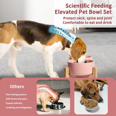 PTOBER 6-inch ceramic bowl ready for small to medium dogs