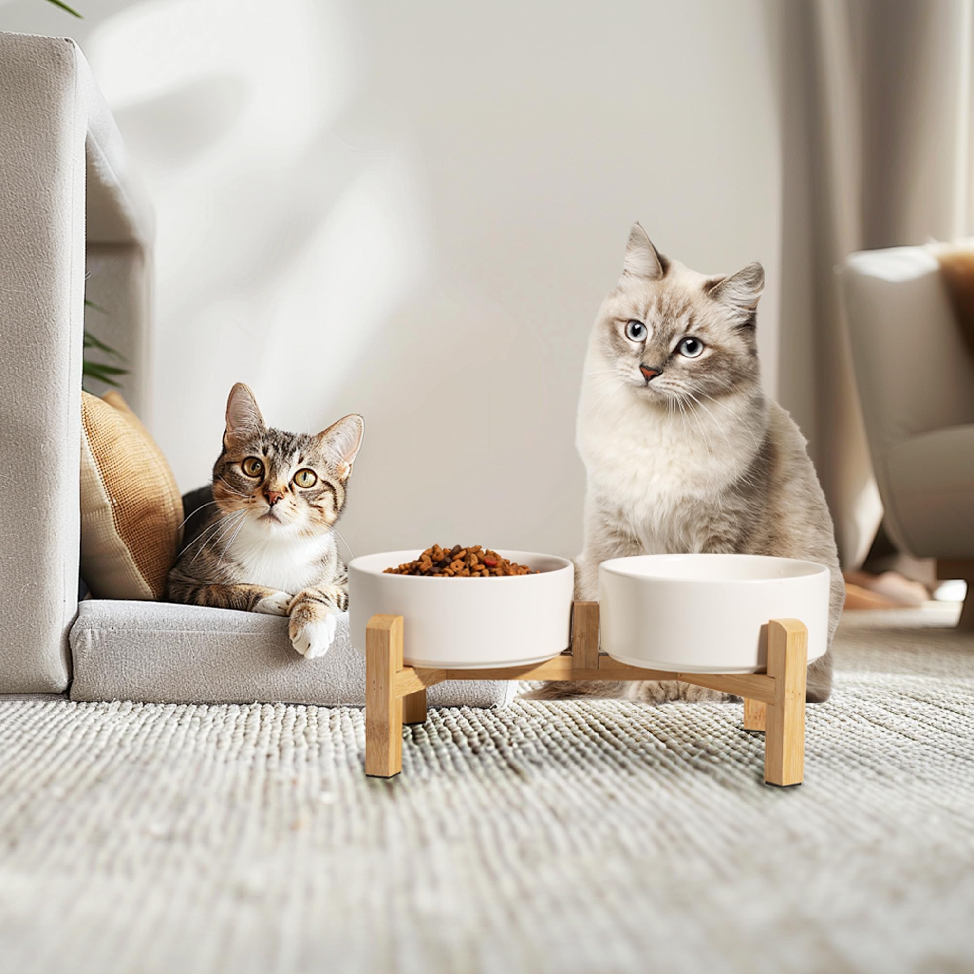 PTOBER elevated set shown in a cozy home scene for convenient mealtime.